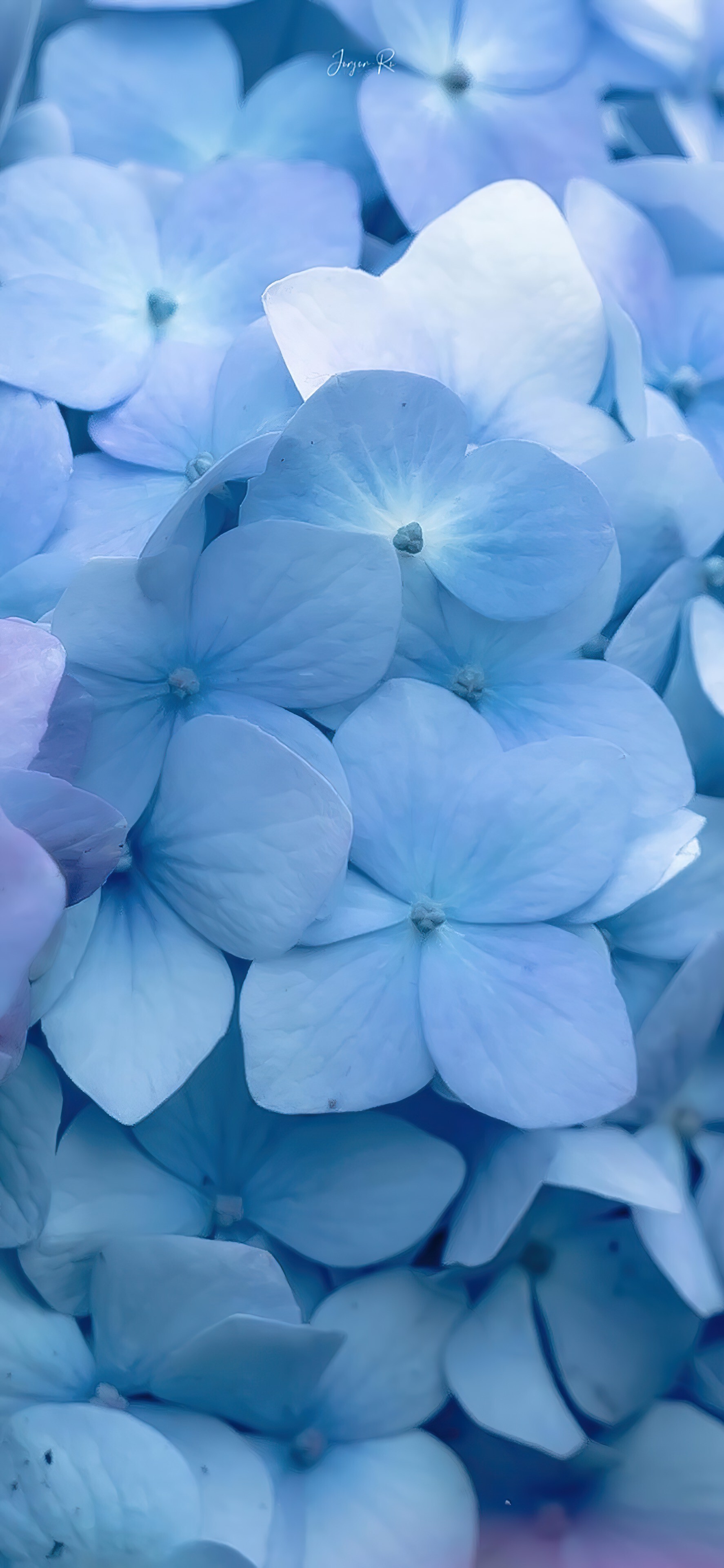 iphone4kins视觉创意高清个性潮图艺术ios极简